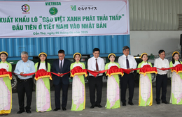 Hơn 70.000 tấn “Gạo Việt xanh, phát thải thấp” được cấp nhãn hiệu: Bước tiến mới của gạo Việt