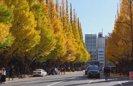 Nhật Bản: Chiêm ngưỡng vẻ đẹp của núi Phú Sĩ vào mùa thu