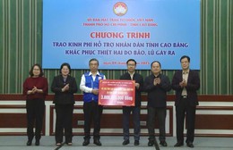TP. Hồ Chí Minh hỗ trợ các tỉnh miền Bắc khắc phục thiên tai