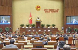 Siết chặt bán chéo bảo hiểm qua ngân hàng: Đại biểu Quốc hội yêu cầu tăng giám sát