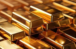 Thị trường ngày 19/11/2025: Giá vàng đồng loạt giảm sâu, giá xăng dầu đảo chiều tăng