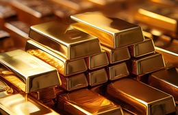 Giá vàng hôm nay (23/11): Vàng đồng loạt tăng mạnh, xăng dầu giảm sâu