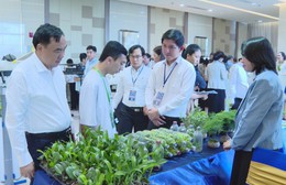 Nông nghiệp công nghệ cao: Giải pháp chiến lược trước thách thức biến đổi khí hậu