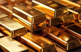 Thị trường ngày 24/11/2025: Vàng giữ mức ổn định, xăng dầu tiếp tục giảm