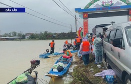 TP. Hồ Chí Minh huy động mọi nguồn lực giúp bà con vùng lũ khắc phục hậu quả
