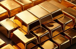 Thị trường ngày 27/11/2025: Vàng đồng loạt tăng, xăng dầu nhích tăng nhẹ