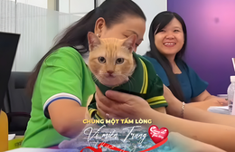 Mèo Mika “trưởng chuồng gấu” của Thảo Cầm Viên ủng hộ 80 triệu đồng cho đồng bào lũ lụt miền Trung