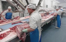 Nhiều nước ngừng nhập khẩu thịt heo từ Tây Ban Nha