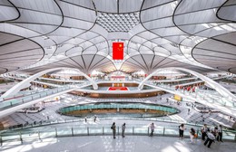 Nhiều chuyến bay bị hủy do căng thẳng Trung Quốc - Nhật Bản