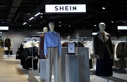 Pháp tăng cường kiểm tra Shein sau phát hiện bán "búp bê tình dục giống trẻ em"