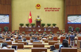 Hoàn thiện Luật Thuế giá trị gia tăng để thúc đẩy xuất khẩu nông sản