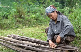 Mái ấm gia đình Việt - Tập 49: Điểm tựa của mẹ!