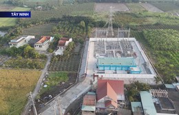 Ngành điện miền Nam tiếp tục khởi công, khánh thành các công trình trọng điểm