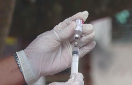 Đẩy mạnh tiêm phòng, bệnh dại tại TP. Hồ Chí Minh được kiểm soát hiệu quả