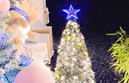 TP. Hồ Chí Minh rực sáng trong đêm Giáng sinh an lành