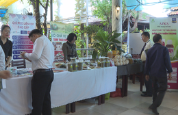 Hội Đông y phường Hạnh Thông ra mắt Ban Chấp hành nhiệm kỳ đầu tiên