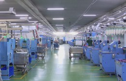 TP.HCM áp dụng mức lương tối thiểu vùng mới từ 1/1/2026