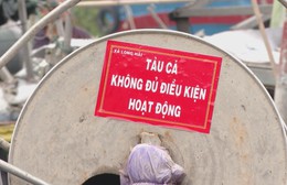 Xã Long Hải rà soát tàu cá không đủ điều kiện đánh bắt