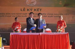 Nông nghiệp Việt Nam chuyển dịch mạnh mẽ sang mô hình tăng trưởng xanh và phát thải thấp