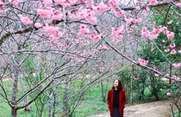 Điện Biên: 3 điểm check-in cực "hot" dịp năm mới