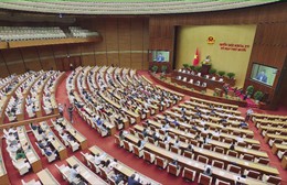 Cần cơ chế khuyến khích phát triển điện gió ngoài khơi, điện hạt nhân mô-đun nhỏ