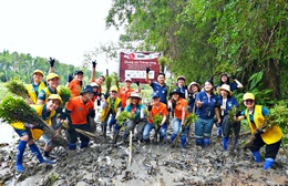 Gần 62.000 cây gỗ lớn được trồng tại rừng đầu nguồn Việt Nam