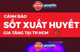 NewZgraphic: Cách phòng chống sốt xuất huyết hiệu quả mùa mưa