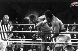 Toàn cảnh bức tranh sống động của thể thao quốc tế năm 2025