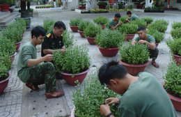 Đại đội Pháo binh 40 vượt nắng gió thao trường, chăm 500 chậu hoa đón Tết