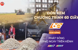 60 Giây ngày 13/1/2026 | Không khí sôi động tại chợ kiệu Tết lớn nhất TP. Hồ Chí Minh