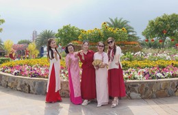 Hơn 500 lượt khách mỗi ngày check-in "Phố Xuân" rực rỡ tại Vũng Tàu