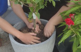 Phường Phú An triển khai công trình dân vận mừng Đảng - mừng Xuân 2026