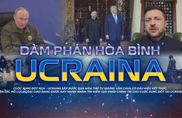 Đàm phán hòa bình Ucraina