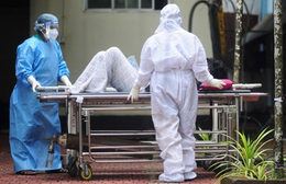 Cập nhật: Vi-rút Nipah ít khả năng bùng phát tại Trung Quốc và Đông Nam Á