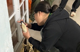 Công an phường Sài Gòn, TP.Hồ Chí Minh giải cứu thiên nga thành công