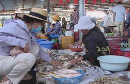 Thị trường hải sản mùa Tết: Sức mua và giá cả đều tăng