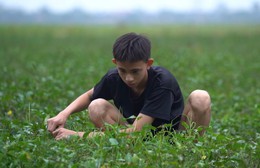 Quang Minh bị thận bẩm sinh, cùng mẹ chạy thận giai đoạn cuối vượt khó