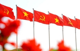 Diễn đàn lấy ý kiến kiều bào về dự thảo văn kiện Đại hội Đảng XIV, sửa đổi Hiến pháp thể hiện tư ...