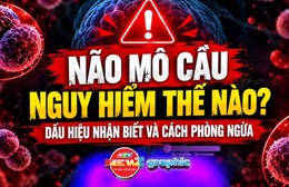 NewZgraphic: Não mô cầu nguy hiểm thế nào? Dấu hiệu nhận biết và cách phòng ngừa