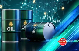 Bắt sóng thị trường 29/10/2026: Vàng miếng chạm 143 triệu đồng/lượng, giá dầu thế giới tăng | NewZMoney