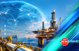 Bắt sóng thị trường 30/10: Dầu vượt 114 USD, VN-Index đi xuống | NewZMoney