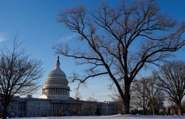 Chính phủ Mỹ bắt đầu đóng cửa một phần