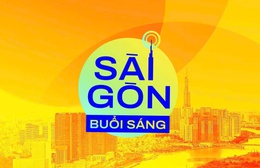 Người dân TP. Hồ Chí Minh “giải cứu” cúc mâm xôi, hỗ trợ nhà vườn miền Tây