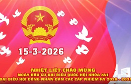 Nhiệt liệt chào mừng ngày Bầu cử  Đại biểu Quốc hội khóa XVI và Đại biểu HĐND các cấp nhiệm kỳ 2026-2031