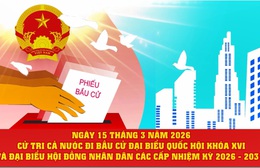 Ngày 15/3/2026 - Cử tri cả nước đi bầu cử Đại biểu Quốc hội khóa XVI và Đại biểu HĐND các cấp nhiệm kỳ 2026-2031