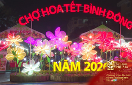 Khai mạc chợ hoa Tết Bình Đông - Xuân Bính Ngọ năm 2026