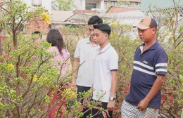 Rực rỡ chợ hoa Xuân Bính Ngọ tại Thủ Dầu Một