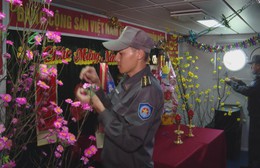 Xuân giữa trùng khơi: Hành trình xuyên Tết của lực lượng Kiểm ngư