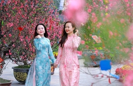 Không khí lạnh gây mưa tại Bắc Bộ và Bắc Trung Bộ