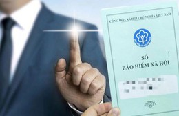 TP. Hồ Chí Minh cưỡng chế tài khoản 44 DN chậm đóng BHXH cho NLĐ